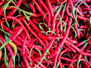 Fresh red chilies for sale at the market