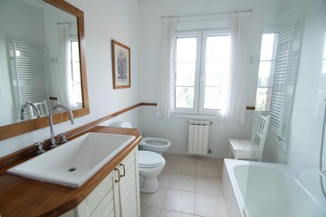 Bathroom in a large mountain house