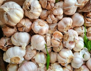 Fresh garlic for sale in the market