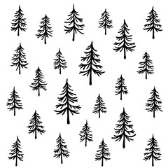 Obraz premium Pine Tree Monochrome Forest Doodle Hand Drawn Art