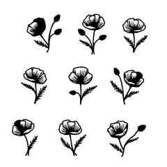Elegant Floral Set with Black Ink on White Paper