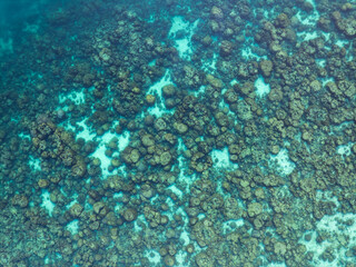 Aerial view of dense coral reef formations in shallow turquoise waters, showing detailed marine patterns and underwater textures in a tropical ecosystem.