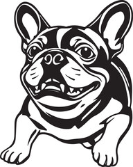 French bulldog. Vector illustration