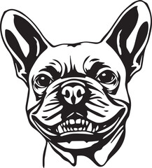 French bulldog. Vector illustration