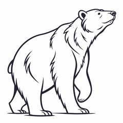 Simple a Bear line art vector design white background