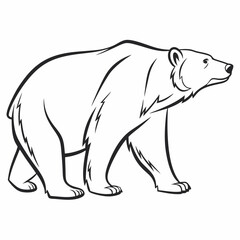 Simple a Bear line art vector design white background