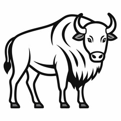 Simple a Bison line art vector white background