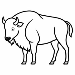 Simple a Bison line art vector white background