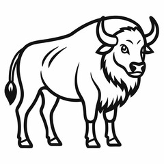 Simple a Bison line art vector white background