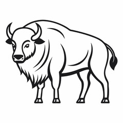 Simple a Bison line art vector white background