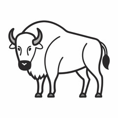 Simple a Bison line art vector white background