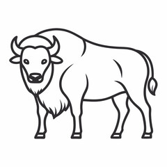 Simple a Bison line art vector white background