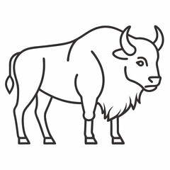 Simple a Bison line art vector white background