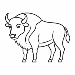 Simple a Bison line art vector white background