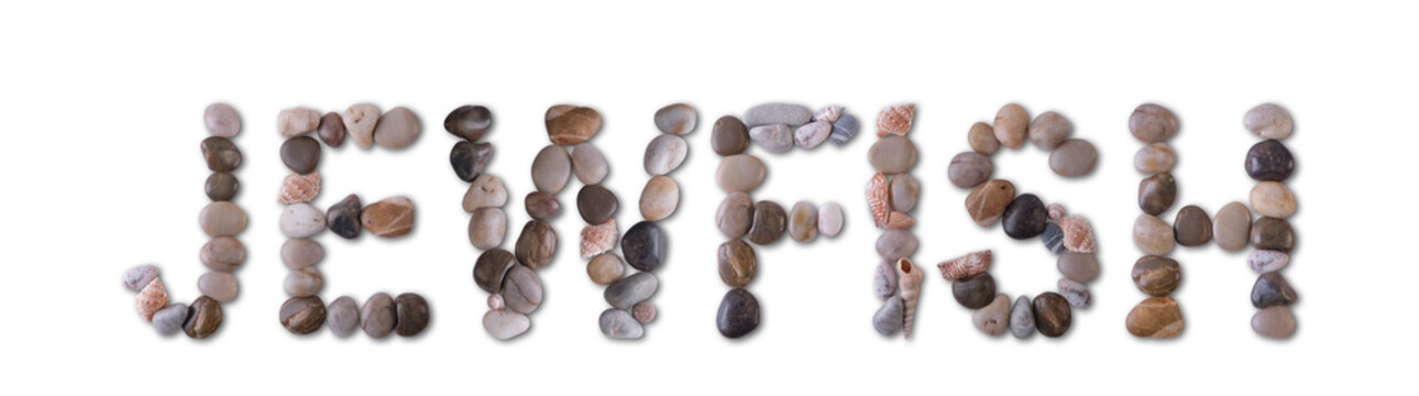 The word "JEWFISH" is lined with shells and stones of different shapes and colors on a transparent background. Types of fish and seafood, price tag, sea food, fish market, sea alphabet.