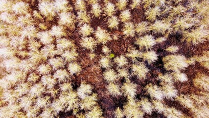 Low and high aerial drone photography of Merseyside and Staffordshire areas, including Burton Upon Trent, Stafford, Wirral, Birkenhead, Wallasey, and Cheshire. 