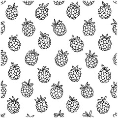 Raspberry Rhapsody: A Black and White Delight