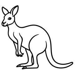 Kangaroo Outline Vector