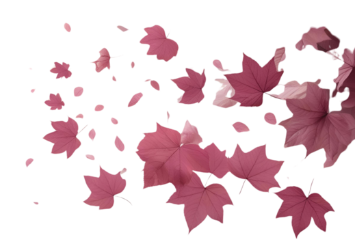 autumn leaves background