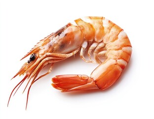 Single Shrimp, Isolated, Close-Up