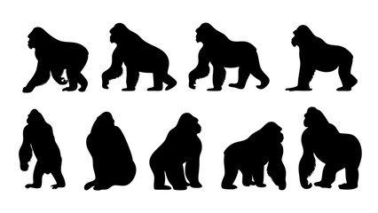 set of gorilla silhouette vector on white background