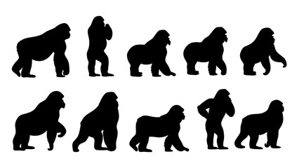 set of gorilla silhouette vector on white background