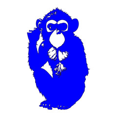 blue Monkey icon