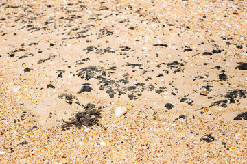 stains of fuel oil mixed with sand on the seashore along the coast. Ecology and natural disaster