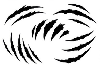 Obraz premium Black claw marks design elements on white background