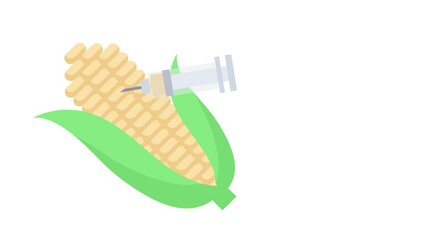 Research on GMO Corn Composition animation, genetically modified maize crop animated video, Digital ai Agribusinesses Clip, e-agriculture footage, smart farming motion graphics
 - Powered by Adobe