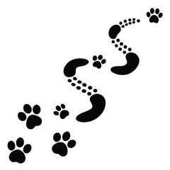 A winding trail of black paw prints marches diagonally across a clean white surface.