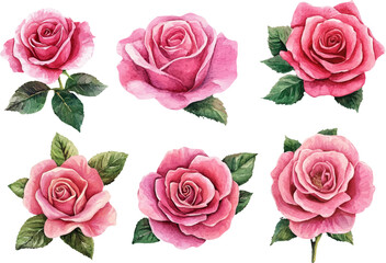 seamless pattern with roses