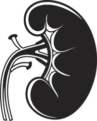 Set of human kidney vector icons Silhouette Vector 10 EPS.