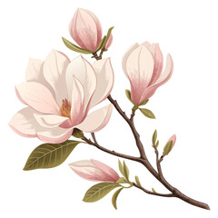 Obraz premium pink cherry blossom vector