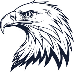 eagle head vector illustration