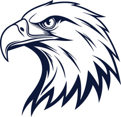 bald eagle vector illustration