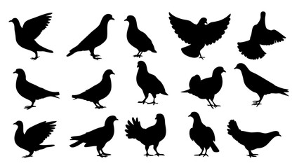 set of dove silhouette vector on white background