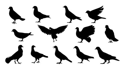 set of dove silhouette vector on white background