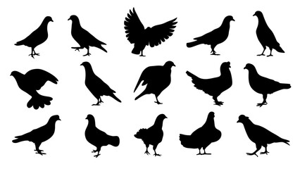 set of dove silhouette vector on white background