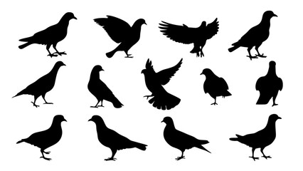 set of dove silhouette vector on white background