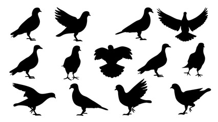 set of dove silhouette vector on white background