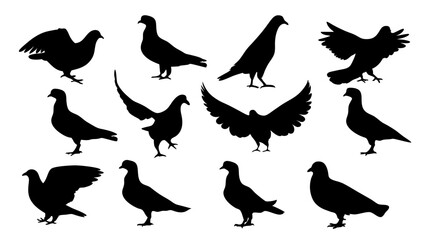 set of dove silhouette vector on white background