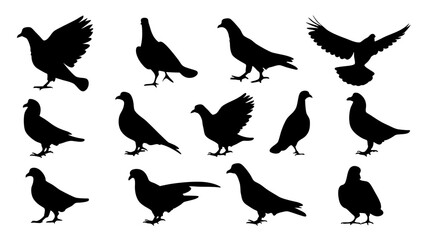 set of dove silhouette vector on white background