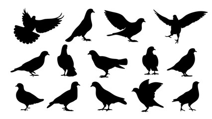 set of dove silhouette vector on white background