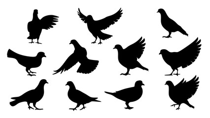 set of dove silhouette vector on white background