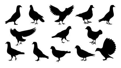 set of dove silhouette vector on white background