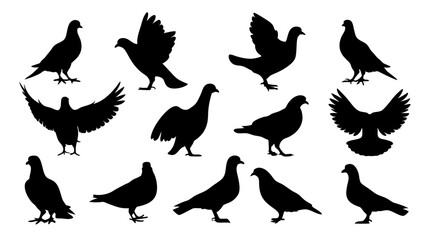 set of dove silhouette vector on white background