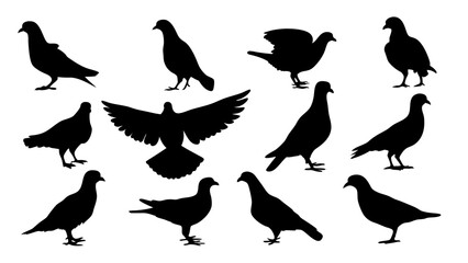set of dove silhouette vector on white background