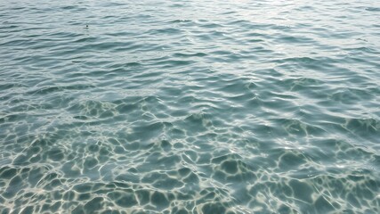Obraz premium Ocean's Serenity: A tranquil expanse of crystal-clear ocean waters, bathed in sunlight, offering a serene and calming visual experience.