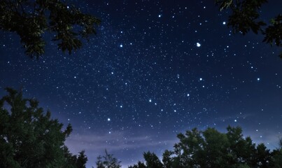 Naklejka premium Starry night sky view from a forest, perfect for nature themed backgrounds